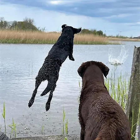 Ferienhaushaelfte Andreas Hébergement de vacances Emmelsbüll-Horsbüll