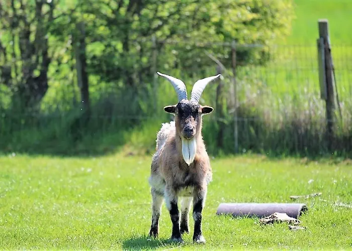 Ferienhaushaelfte Andreas * Emmelsbüll-Horsbüll
